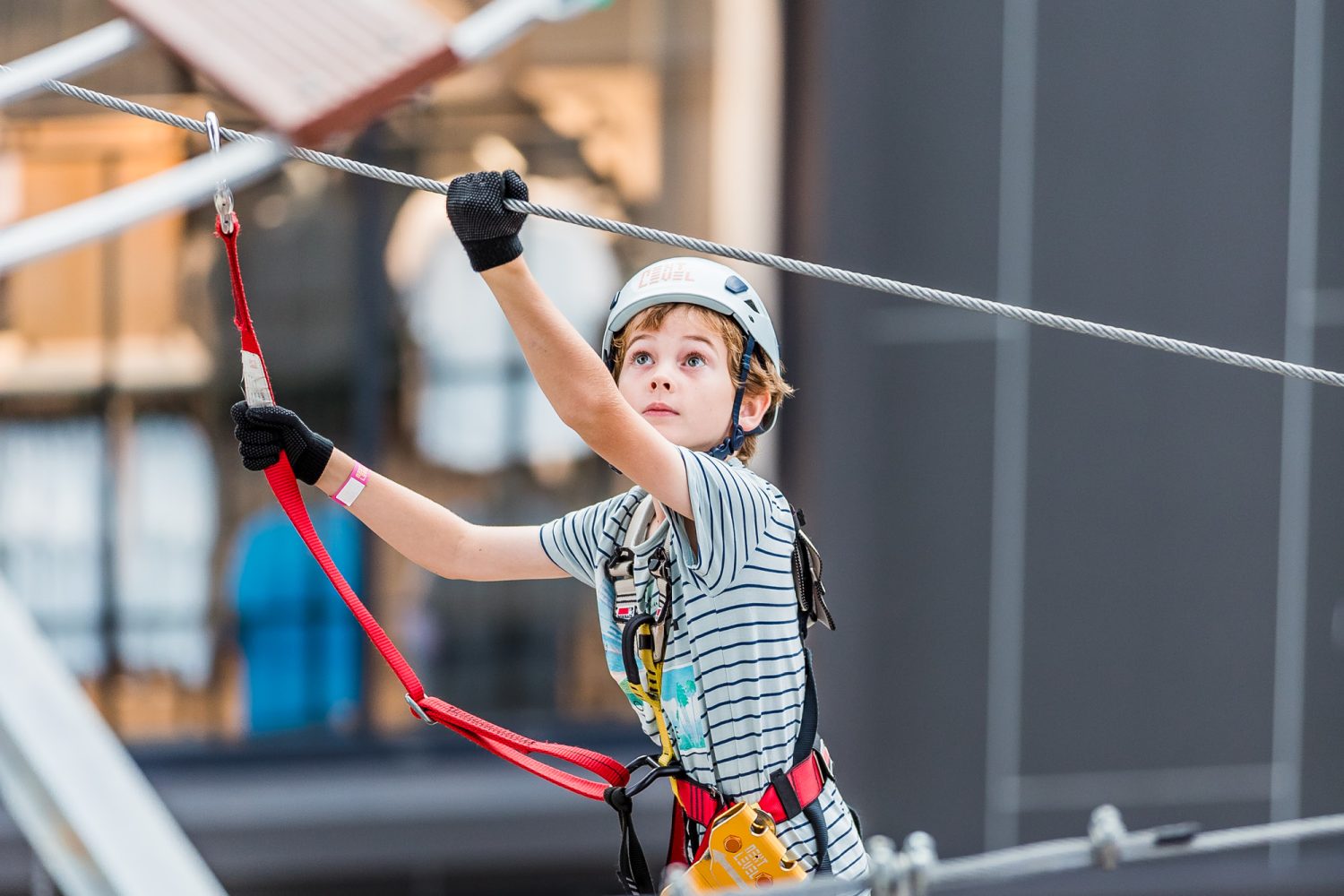 Next Level Sunshine Coast Australia’s Largest High Ropes and Zipline Adventure