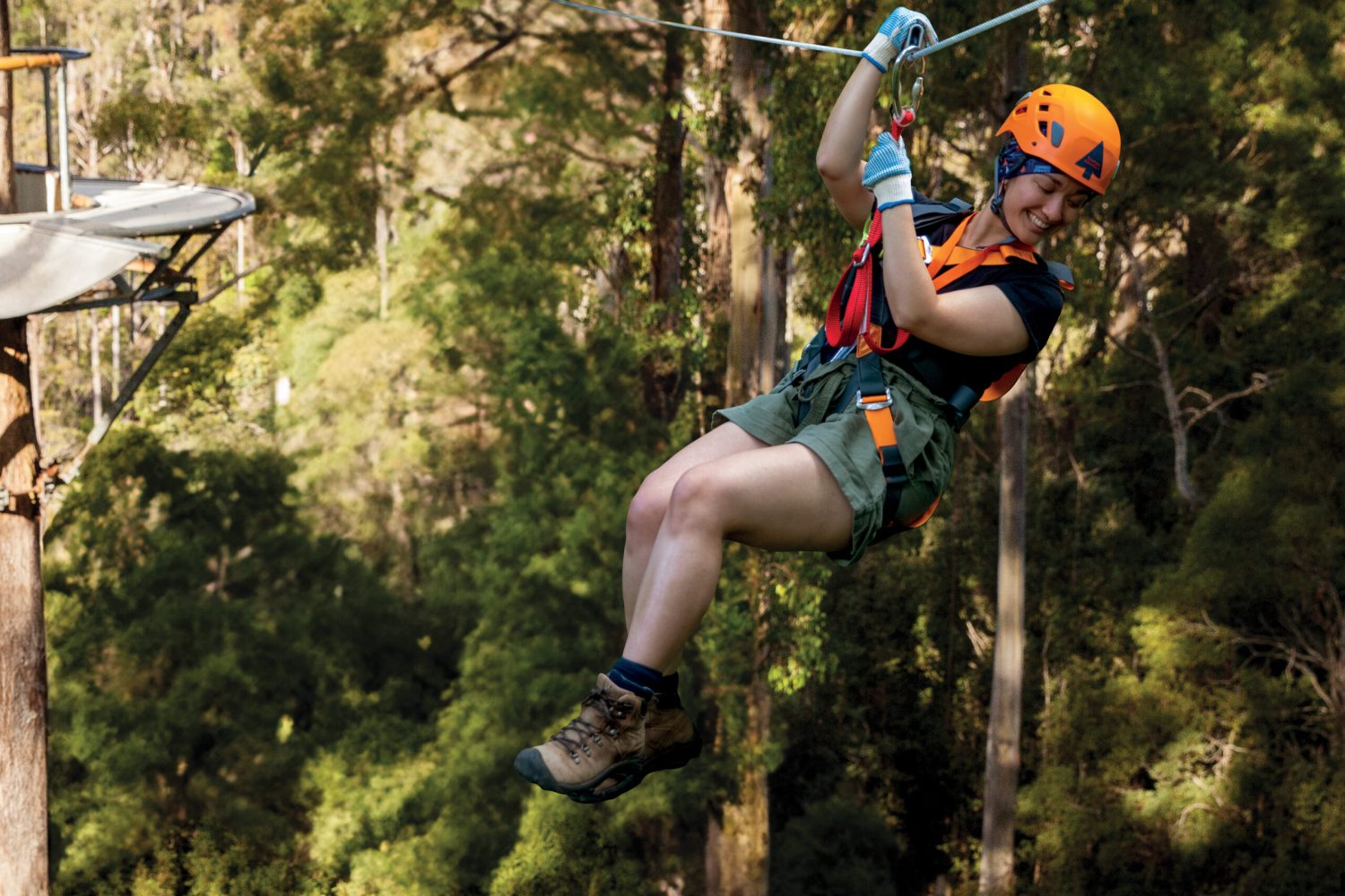 Treetops Adventure Hollybank | Tasmania's longest Zipline
