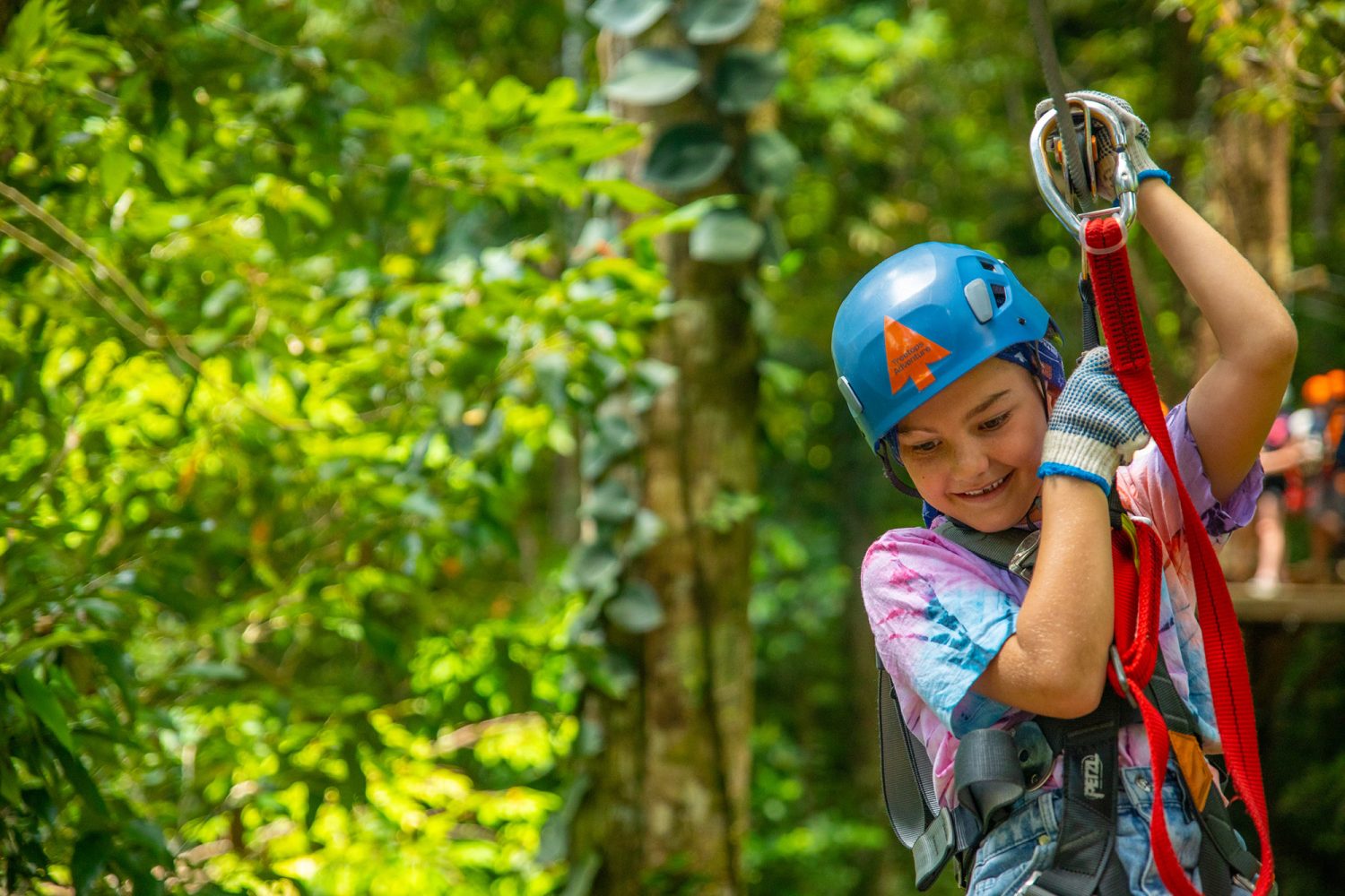 Kids Treetops Adventure Cape Tribulation | Zipline in the Daintree Rainforest