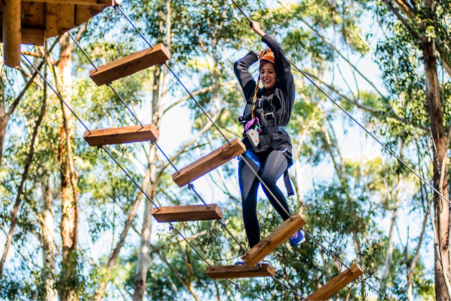 Treetops Adventure Newcastle | Fastest Ziplines & High Ropes
