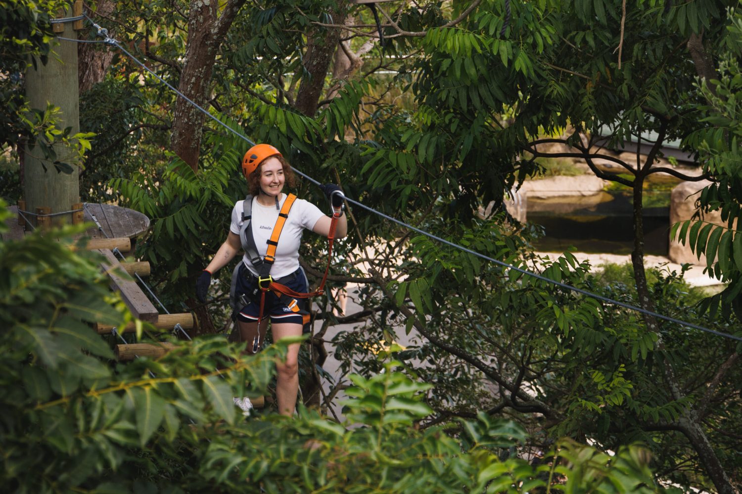 Treetops Adventure Wild Ropes at Taronga Zoo